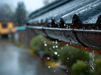 5 tips para mantener tus canalones libres de obstrucciones