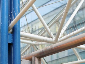 ¿Cómo elegir el tipo de malla de protección anti-aves más adecuado?