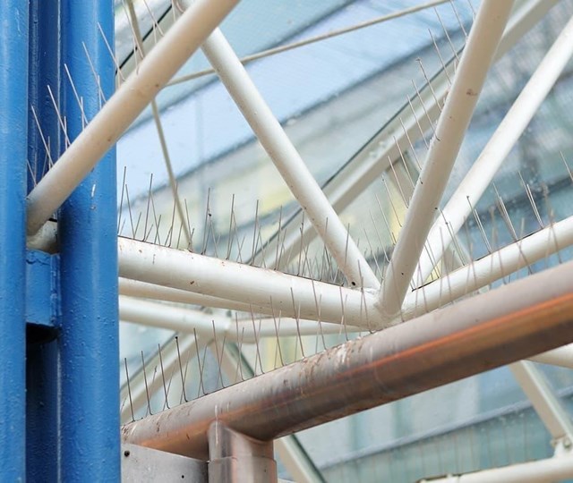 ¿Cómo elegir la malla de protección anti-aves adecuada?