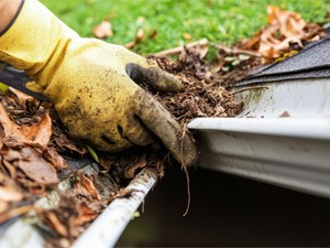¿Cuándo contactar con una empresa de trabajos verticales?