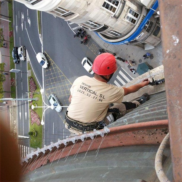 Expertos en la instalación de soluciones anti-aves en A Coruña - Imagen 1