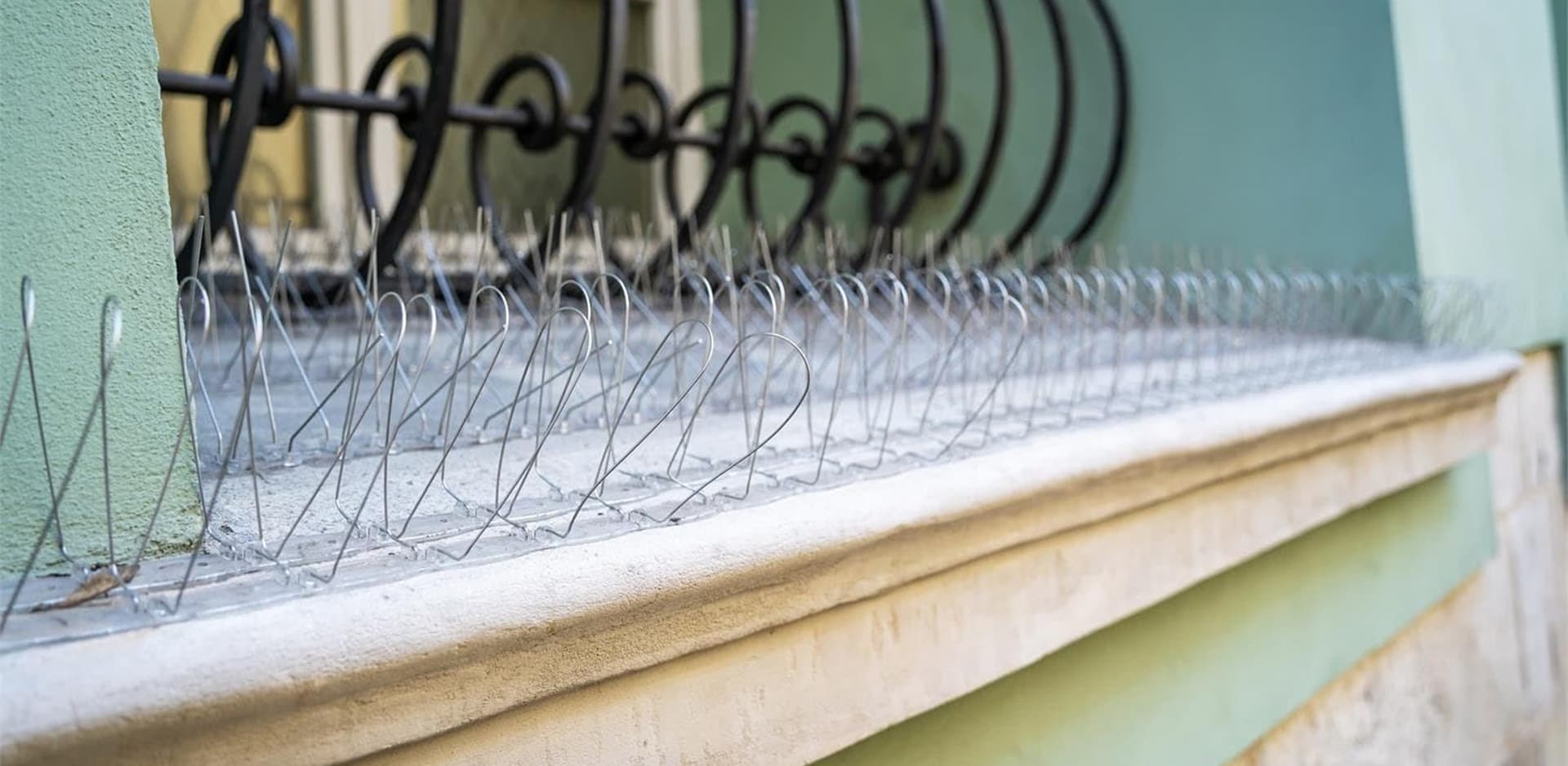 Instalación de soluciones anti-aves en A Coruña y Ferrol