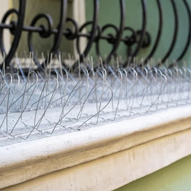 Instalación de soluciones antiaves en un edificio de A Coruña